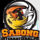 logo sabong